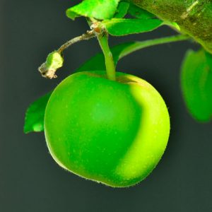 fragancia-manzana-garbiaroma