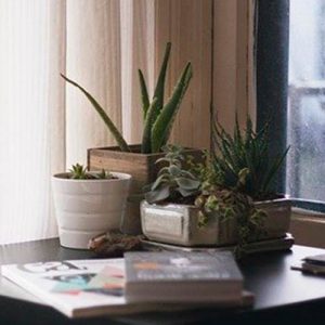 fragancia-aloe-vera-garbiaroma